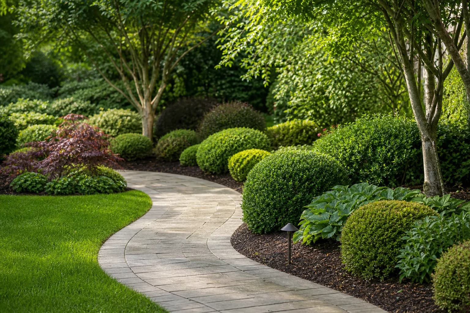 Tidy garden with freshly pruned shrubs and mulched borders