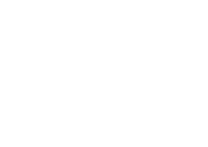 D&S Landscapes logo